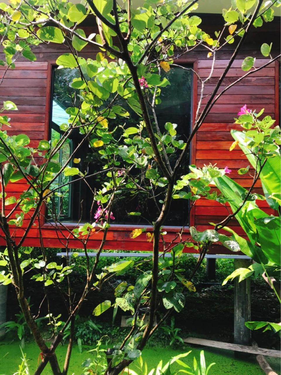 88 Homestay Bang Chak Esterno foto