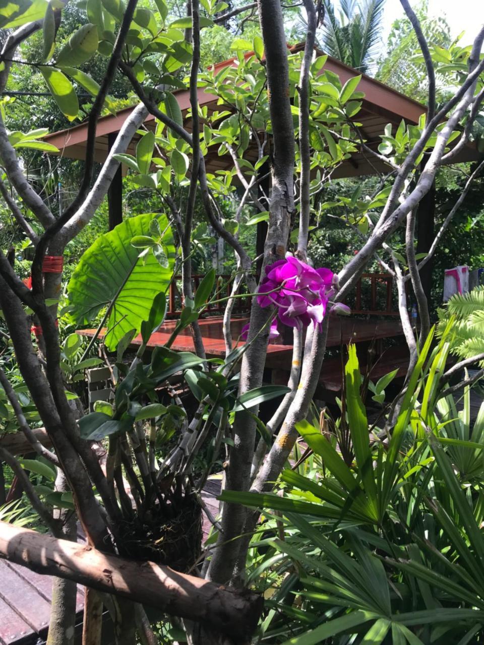 88 Homestay Bang Chak Esterno foto