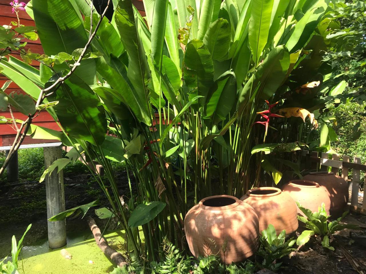 88 Homestay Bang Chak Esterno foto